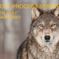 WOLF PROCESS SERVICE